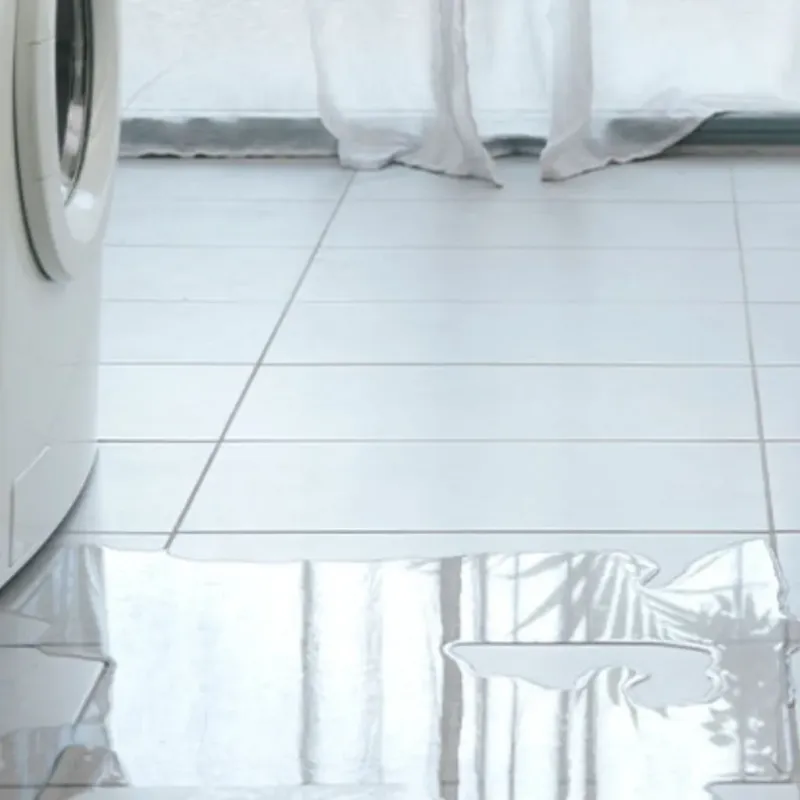 Appliance Leak Cleanup in Woodland Hills, CA